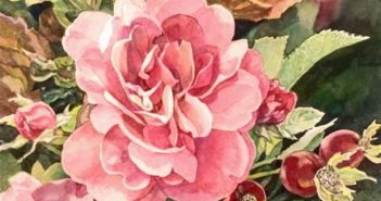 nicoletta-baumeister_the-rose-bush