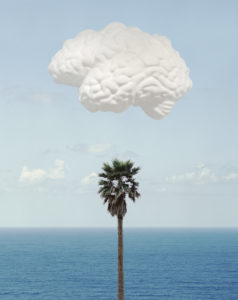 Brain/Cloud (With Seascape and Palm Tree), 2009 Inkjet print on Hahnemüle photo rag 308 gsm paper using archival inks 30.75 x 22.75 inches by John Baldessari