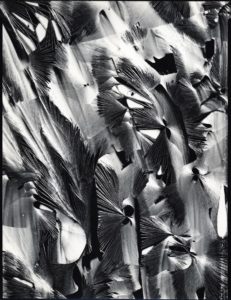 Cracked Plastic Paint, Garrapata, 1954 Gelatin silver print 34.6 x 26 cm by Brett Weston