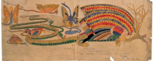 Giant Roverine, n.d. watercolour by Henry Darver