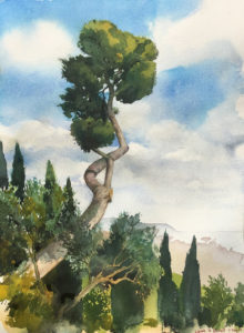 Aleppo Pine, 2019 Watercolor on Fabriano paper, 36 x 26 cm by Jun-Pierre Shiozawa
