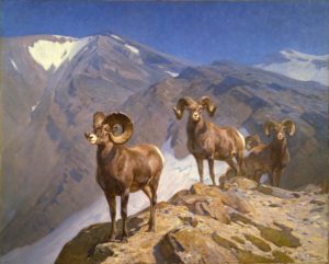 The Mountaineers - Big Horn Sheep on Wilcox Pass, 1912 Oil on canvas 60 x 75 inches by Carl Clemens Moritz Rungius (1869-1959)