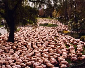 Melbourne 3, 2001 Pigment print 59 x w: 74 inches by Spencer Tunick 