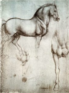 Study of a Horse, circa 1490 Silverpoint on paper 25 x 18.7 cm by Leonardo da Vinci 