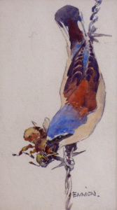 Red-backed Shrike Watercolour by Eric Ennion (1900 - 1981) 