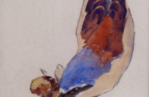 Red-backed Shrike Watercolour
by Eric Ennion (1900 - 1981)