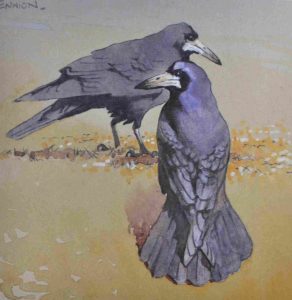 Crows Watercolour by Eric Ennion